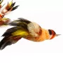 Purrs Goldfinch Bird Refill - Ersatzanhänger- Flying Frenzy - DaBird - zaBird