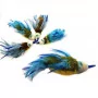 Purrs Bluetit Bird Refill - Fits PurrSuit, Frenzy & DaBird Rods