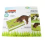Petstages Grass Patch Hunting Box - interaktives Katzenspielzeug zur Beschäftigung