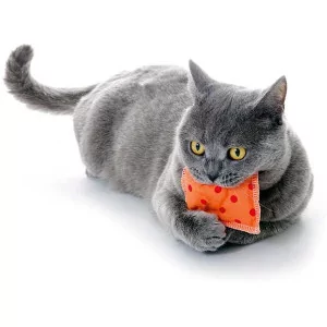Schmusekissen mit Catnip - Katzenminzekissen aus Baumwolle