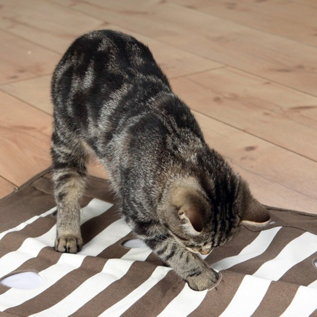 Cat Activity Pföteldecke