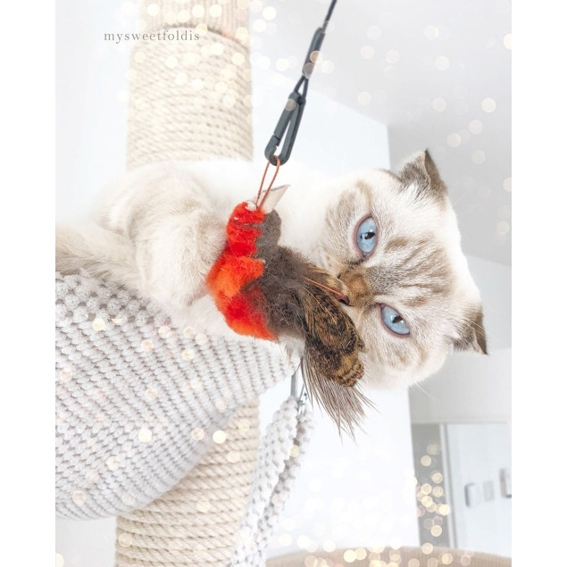 Purrs Robin Bird Refill Attachtment - Vogel als Anhänger für Katzenspielangel