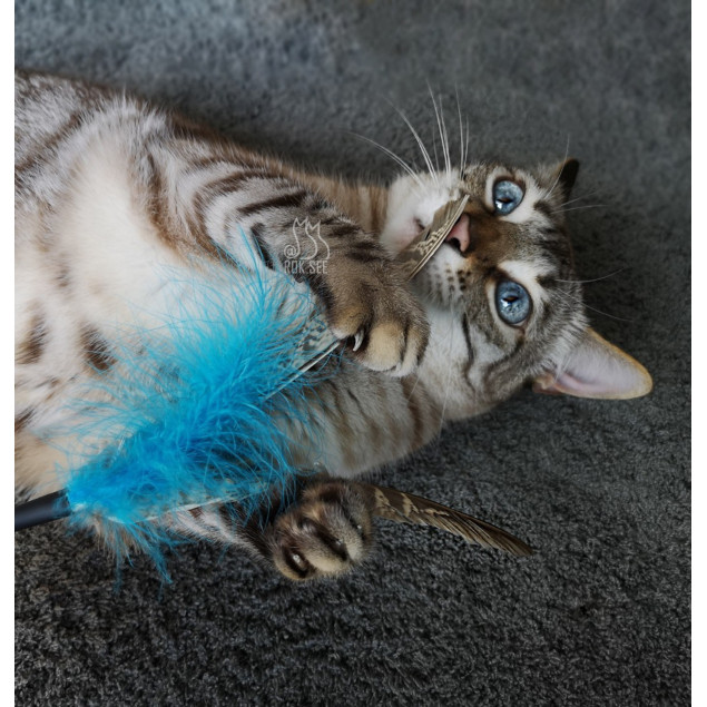 Purrs Spinning Ersatz-Federanhänger - Wechselanhänger