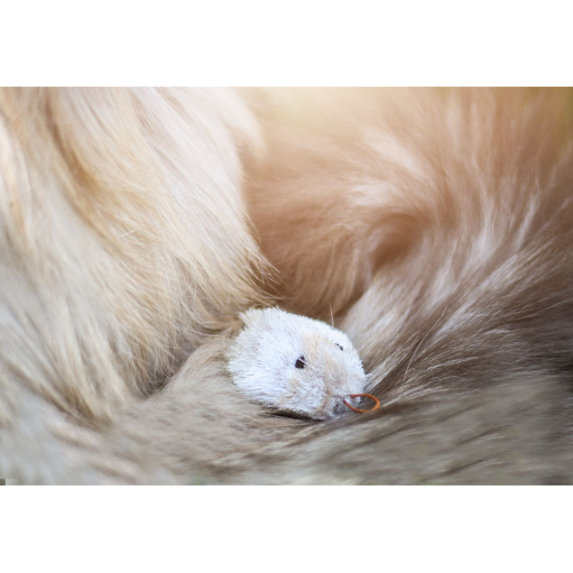 Purrs Skitter Mouse - kleines und leichtes Katzenspielzeug