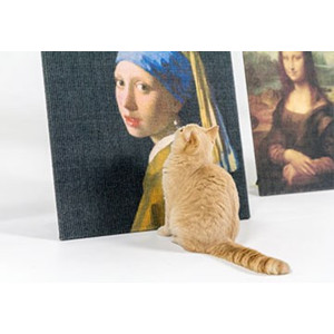Copycat Art Scratcher Girl with a pearl earring | Kunst für Katzen