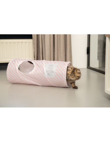 Spieltunnel Nini von Beeztees Kitten