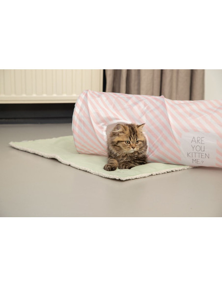 Spieltunnel Nini von Beeztees Kitten