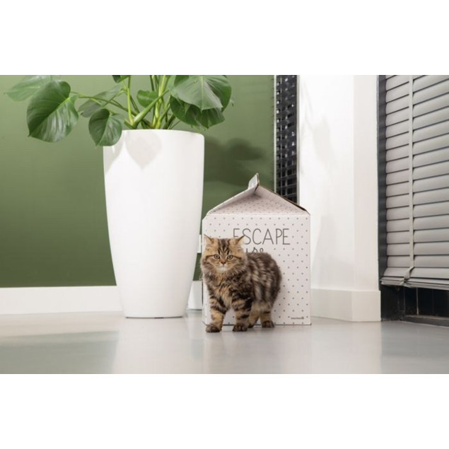 Beeztees Escape Kitten-Haus