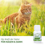 WermiX von AniForte für Katzen- 25g für Magen & Darm