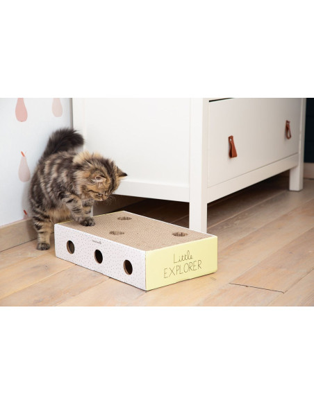 Kratzbox Riva von Beeztees Kitten