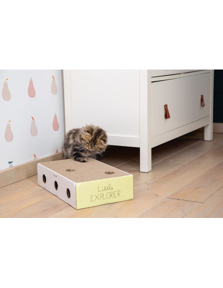 Kratzbox Riva von Beeztees Kitten