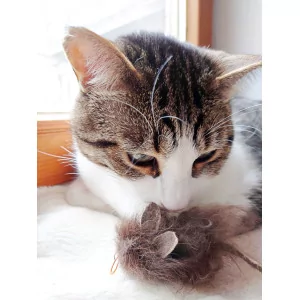 Realistisches Echtfell-Spielmaus für Katzen von Purrs aus Büffelhaar 