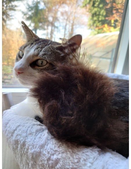 Purrs Sally Sheepie Puff - Schaffell mit Baldrian