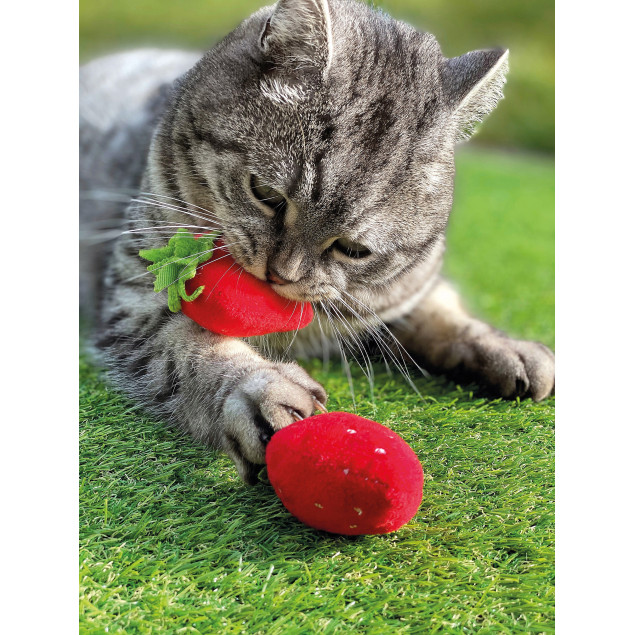 Katzenspielkissen Erdbeere 2er-Set mit Catnip und Silver Vine