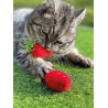Katzenspielkissen Erdbeere 2er-Set mit Catnip und Silver Vine