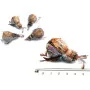 PurrsRainbow Beetle - Käfer Spielanhänger