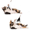 Federwedel Cat Teaser Mystic Feathers von Profeline 