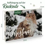 AniForte Adventskalender 2023 für Katzen