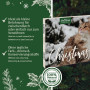 AniForte Adventskalender 2023 für Katzen