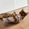 4cats Japan Kollektion Spielrolle mit Katzenminze oder Baldrian