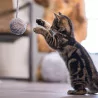 beeztees Kitten Fun - Rasselndes Wollknäuel