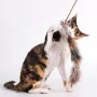 Cat Teaser Boa Tail von Profeline