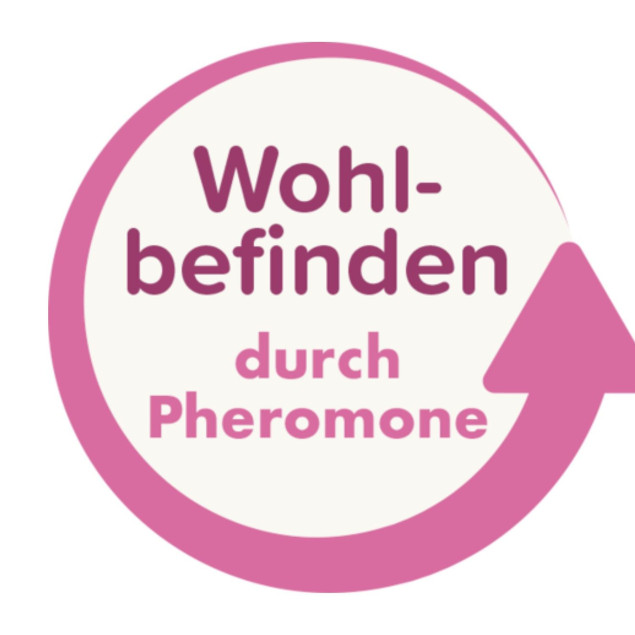 Wohlfühl SPOT-ON CatComfort von beaphar