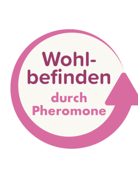 Wohlfühl SPOT-ON CatComfort von beaphar