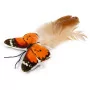 beeztees Schmetterling Fligo mit Knisterflügeln und Federn