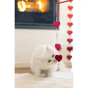 Katzenangel Herzen von beeztees | Katzenspielzeug online kaufen