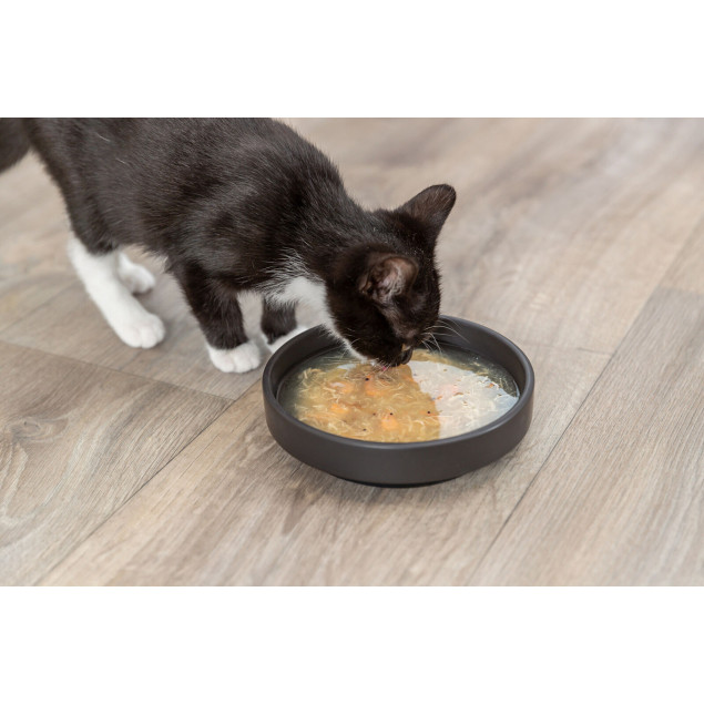 TRIXIE Salmon Soup - Lachssuppe für Katzen | Trinknahrung