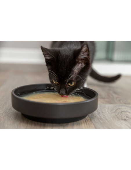 schwarzes Kitten trinkt aus einem schwarzen Futternapf eine Salmon Soup