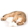 Profeline Catnip Buddy - Stoffkatze mit Katzenminze und Baldrian