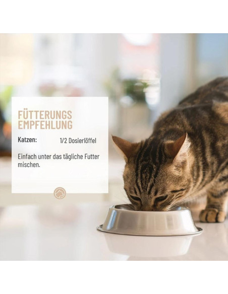 REAVET Magenmild Pulver 50g für die Gesundheit Deiner Katze