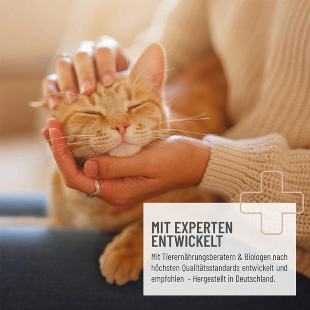 REAVET Magenmild Pulver 50g für die Gesundheit Deiner Katze