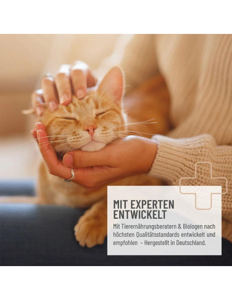 REAVET Magenmild Pulver 50g für die Gesundheit Deiner Katze