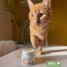 REAVET Magenmild Pulver 50 g für Katzen