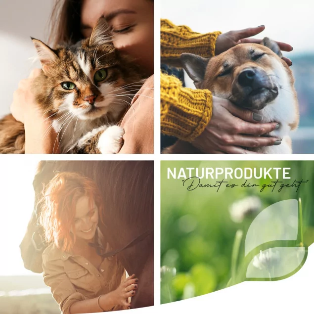 REAVET Bachblüten Globuli - Vet Toxx für Katzen, 10g!