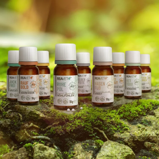 REAVET Bachblüten Globuli - Hasenfuß 10 g - Detailansicht