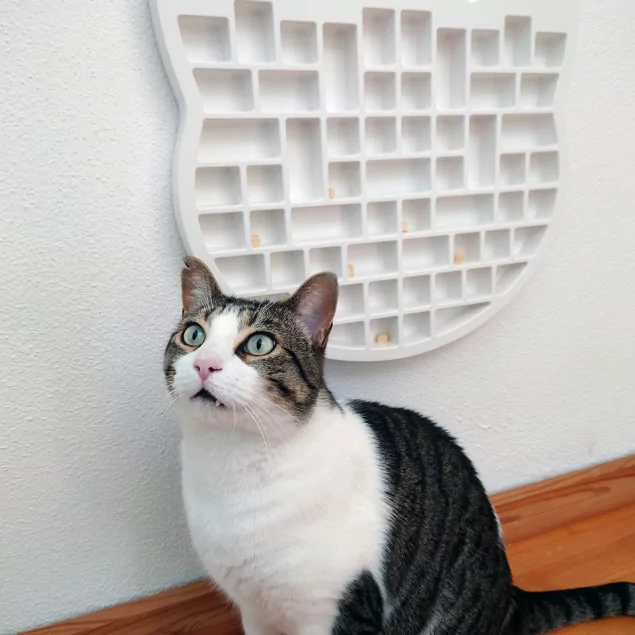 Fummelbrett für die Wand - ewiCAT