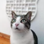 Fummelbrett für die Wand - ewiCAT