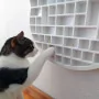 Fummelbrett für die Wand - ewiCAT