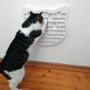 ewiCAT – Wand-Fummelbrett für Katzen