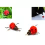 Marienkäfer Katzenspielzeug - Purrs Little Ladybird