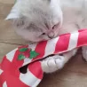 4cats X-Mas Zuckerstange mit 4catsnip - 1 Stück Katzenspielkissen