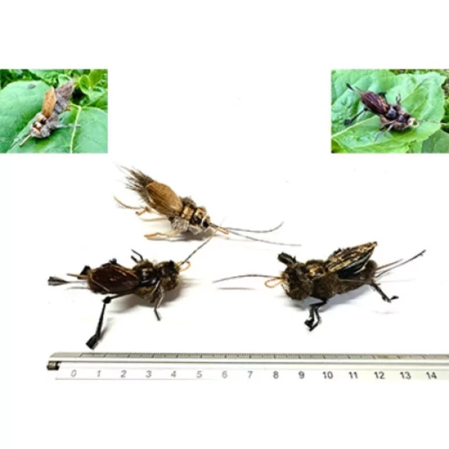 Purrs Ickle Cricket Anhänger - Spielzeug aus Rehhaar für Katzen