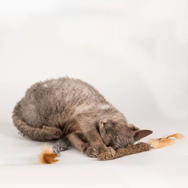 2er-Pack Furry Leek von Profeline: Echtfell Spielspaß für Katzen
