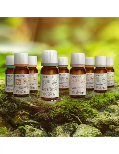 Mopsfidel 10g - REAVET Bachblüten Globuli für glückliche Katzen