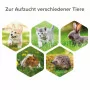 Lactol Aufzucht Set (Flasche, Bürste & Sauger)