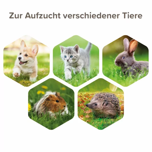 Lactol Aufzucht Set (Flasche, Bürste & Sauger)